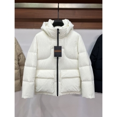 Louis Vuitton Down Jackets